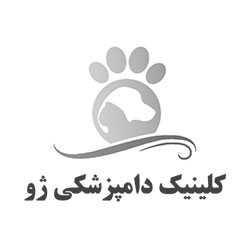 برخی مشتریان شرکتی مرکز ترجمه